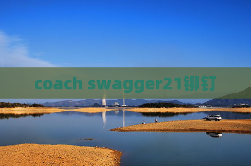 coach swagger21铆钉